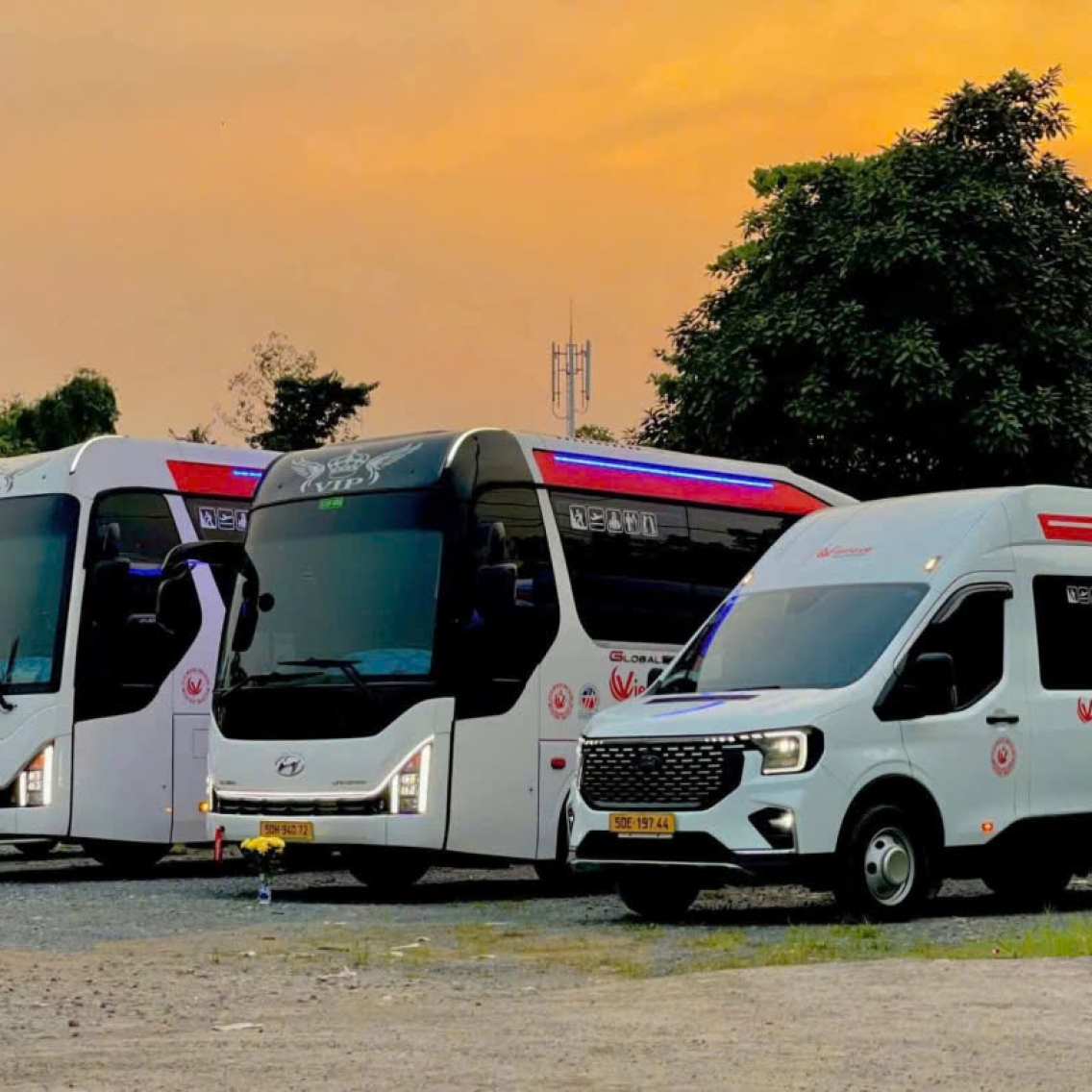 Thuê xe 9 chỗ Limousine cao cấp có tài xế TPHCM 2026